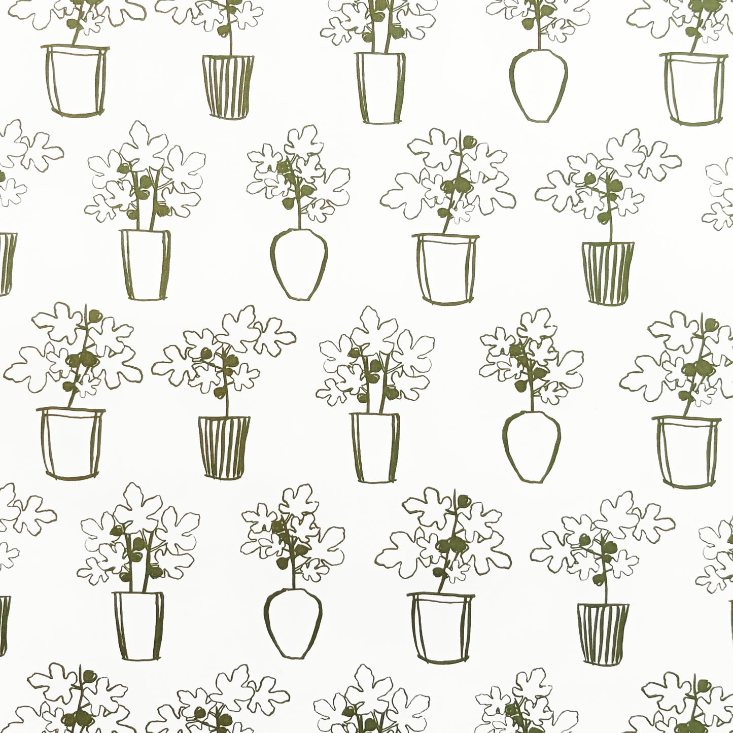 Potted Figs On Natural - Gift Wrap