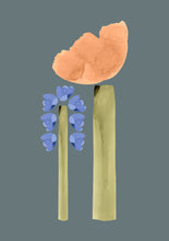 Load image into Gallery viewer, Bluebell &amp; Poppy Print

