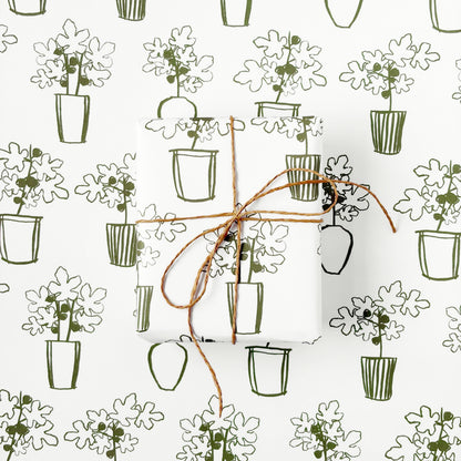 Potted Figs On Natural - Gift Wrap