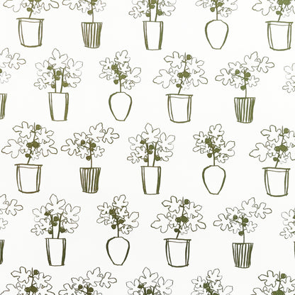 Potted Figs On Natural - Gift Wrap