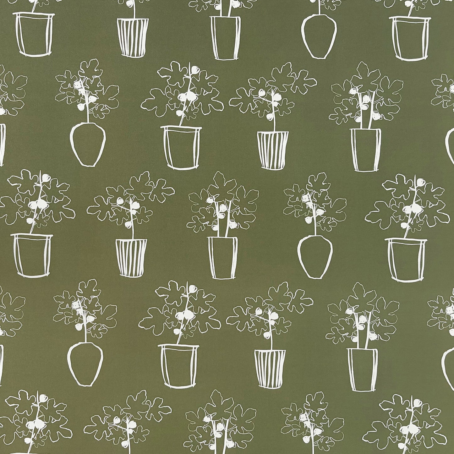 Fig Botanical Wrapping Paper Olive Green